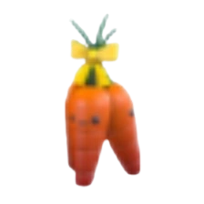 Carrot Bushel