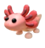 Axolotl