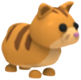 Ginger Cat