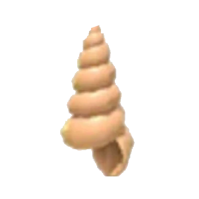 Musical Conch