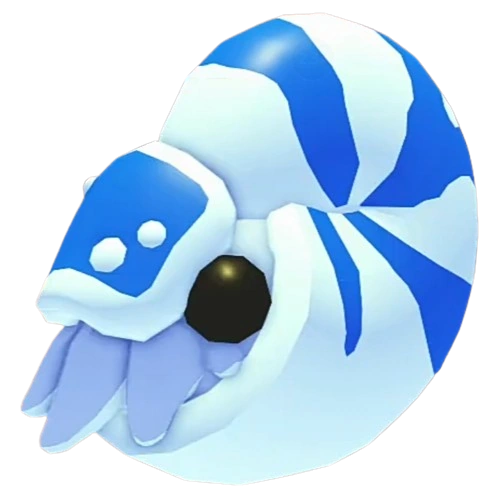 Nautilus