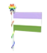 Gender Queer Flag 2023