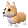 Corgi