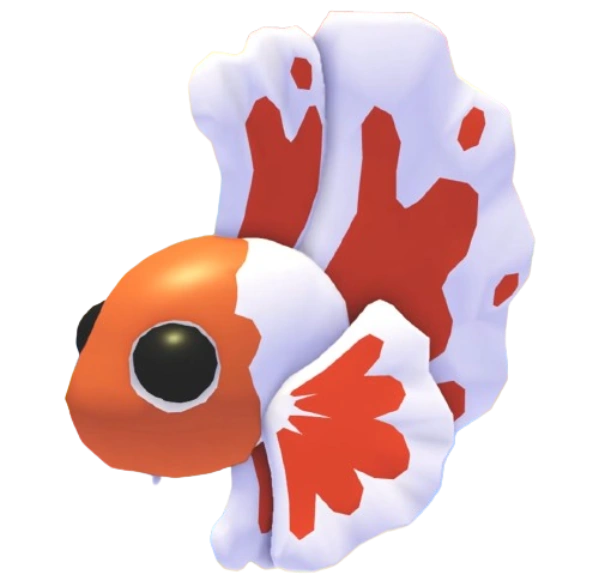 Orange Betta Fish