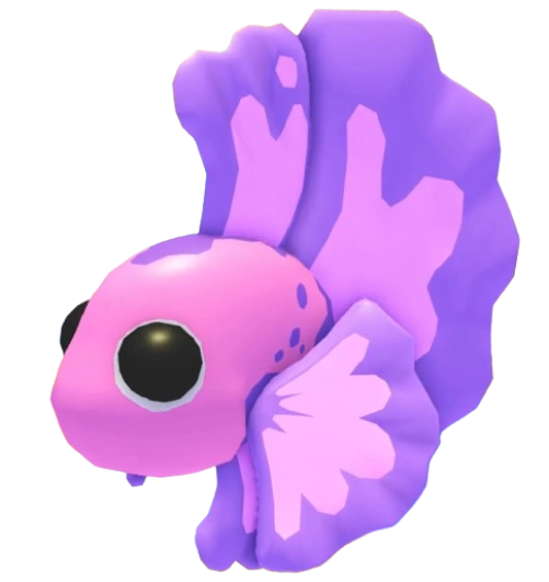 Pink Betta Fish
