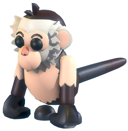 Capuchin Monkey