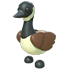 Canadian Goose