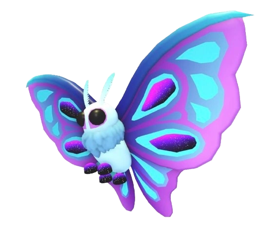 Moonlight Moth