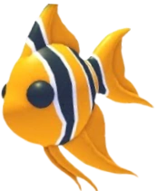 Angelfish