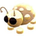 Golden Ladybug