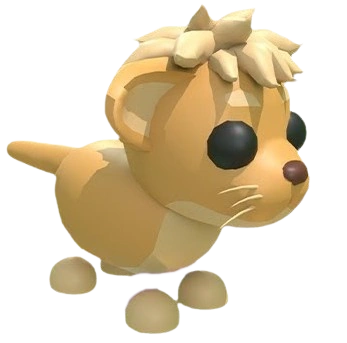 Lion Cub
