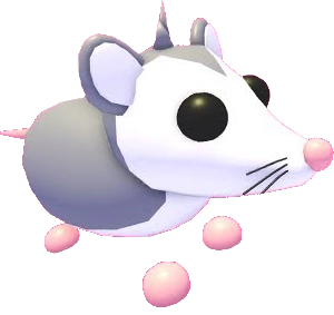 Possum
