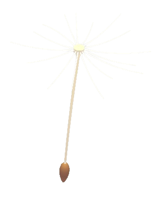 Dandelion Propeller