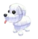 Practice Dog