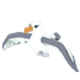 Albatross