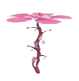 Blossom Propeller