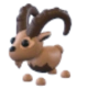 Ibex