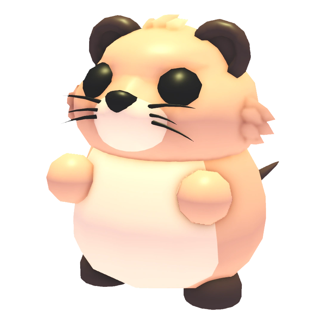 Muskrat