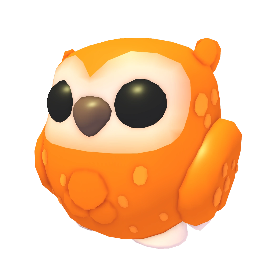 Clementine Owl