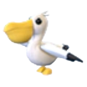 Pelican