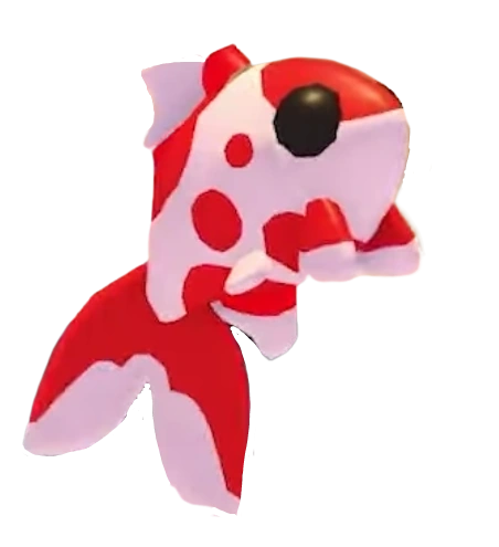 Koi Carp
