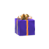 Gift Throw Toy