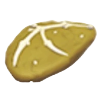Dimorphodon Fossil