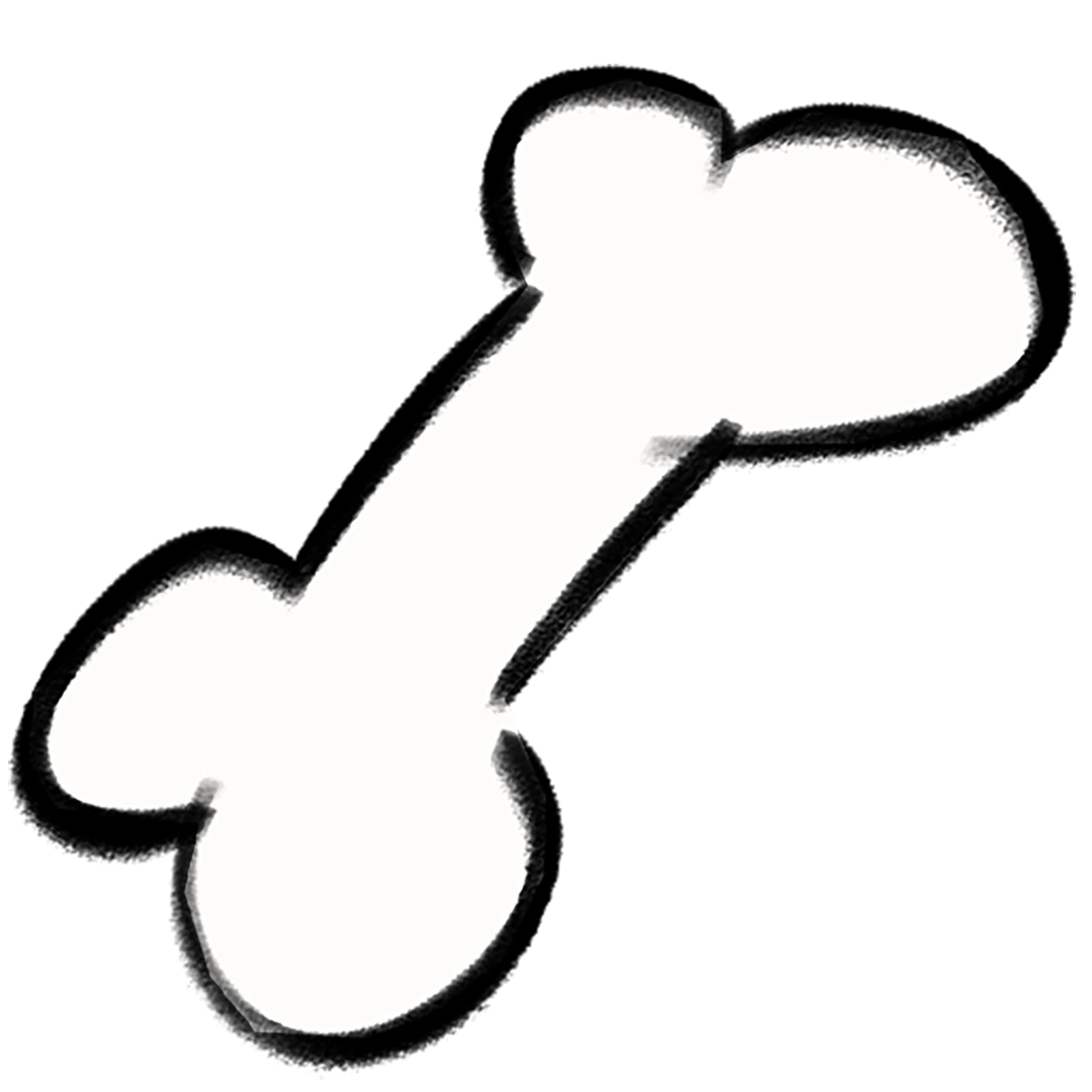 2D Bone Chew Toy