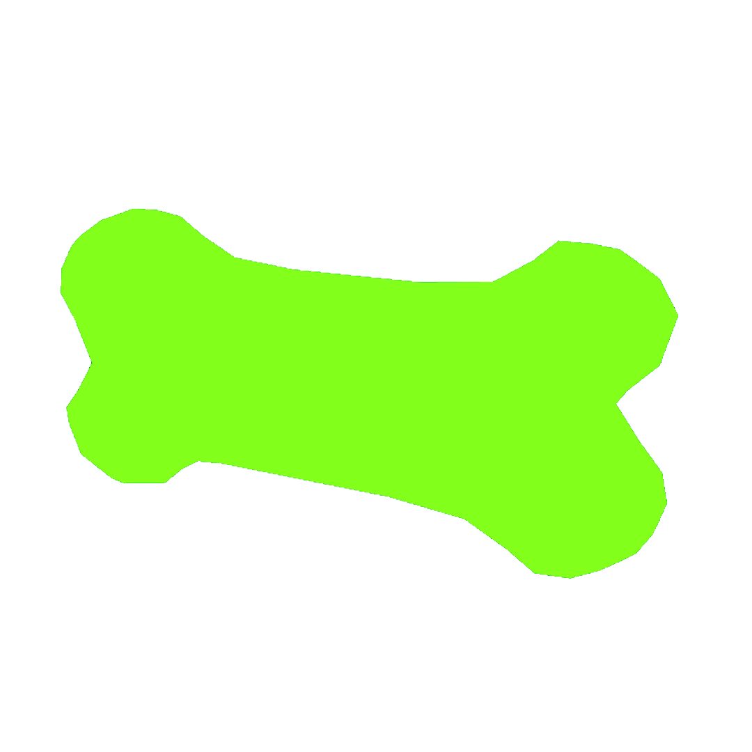 Pluboneium Chew Toy