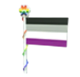 Ace Flag 2023