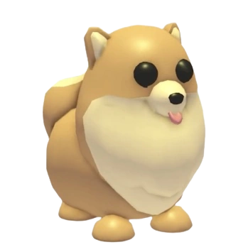 Pomeranian