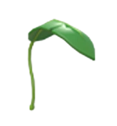 Banana Leaf Balloon