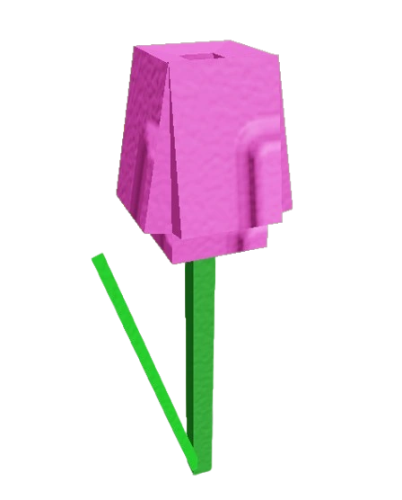 Pink Tulip