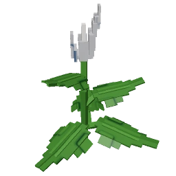 Peace Lily