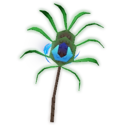 Peacock Tail