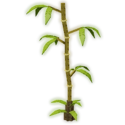 Bamboo Tree