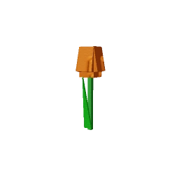 Orange Tulip