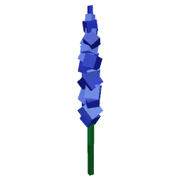 Delphinium
