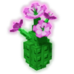 Melon Flower