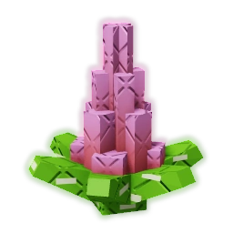 Blooming Cactus
