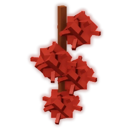 Castor Bean