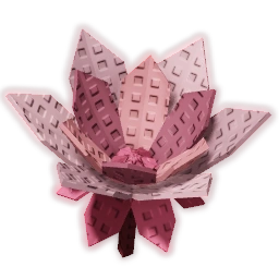 Cyclamen