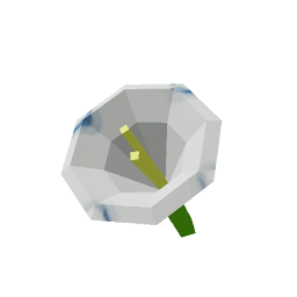 Moonflower