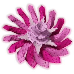 Pinkside Dandelion