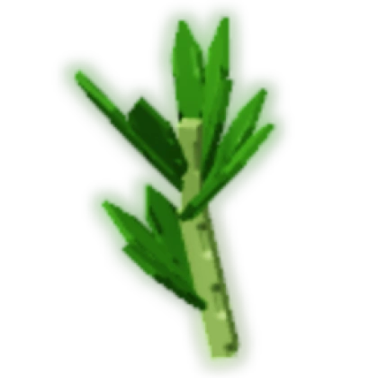 Parsley