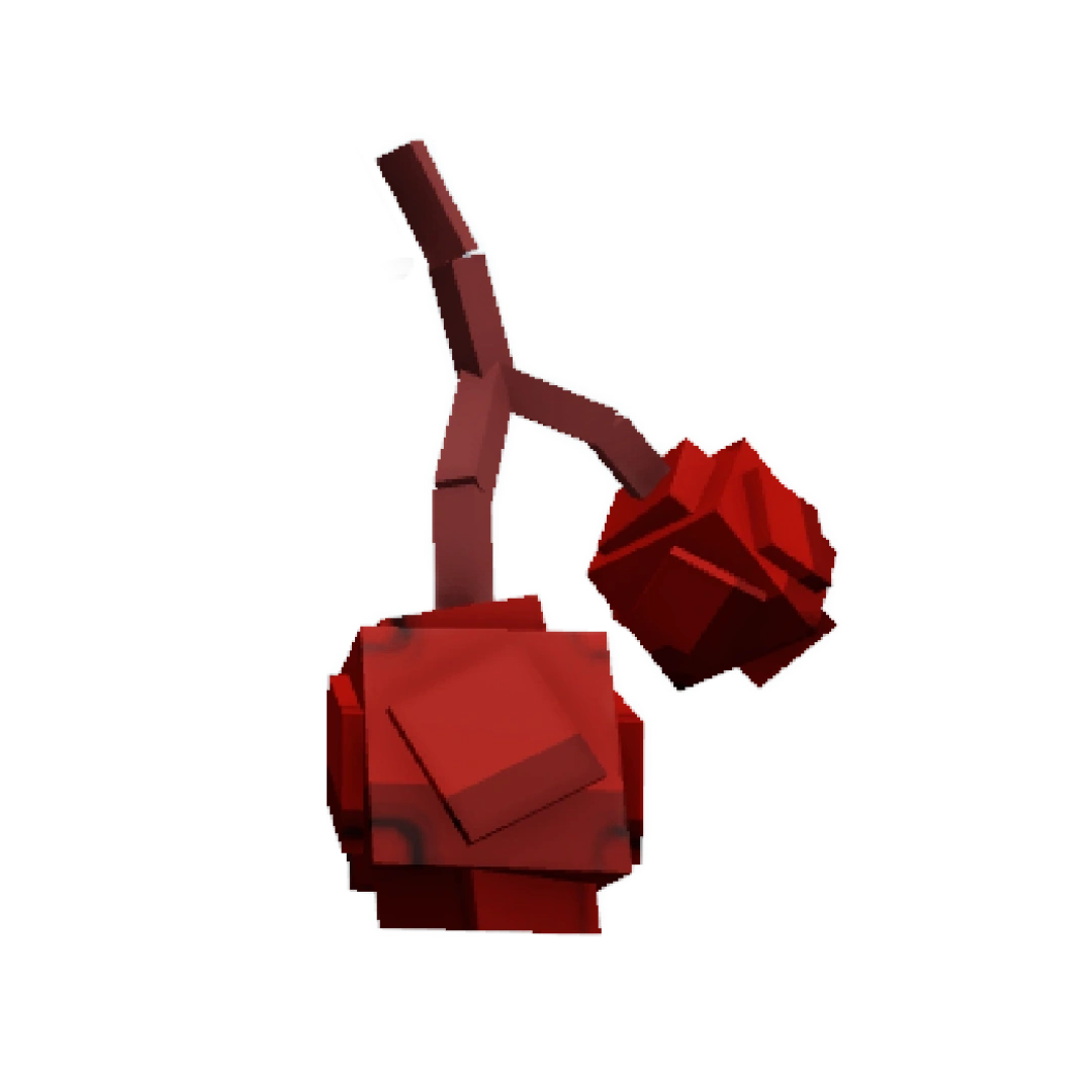 Cranberry