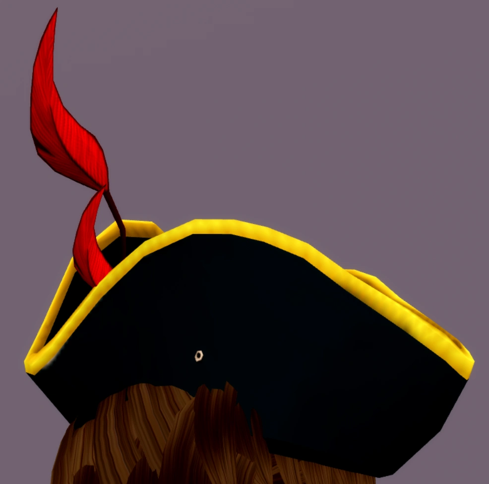 Pirate Hat