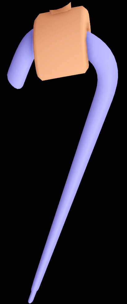 Cane
