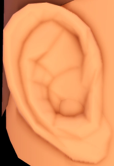 Human Ears