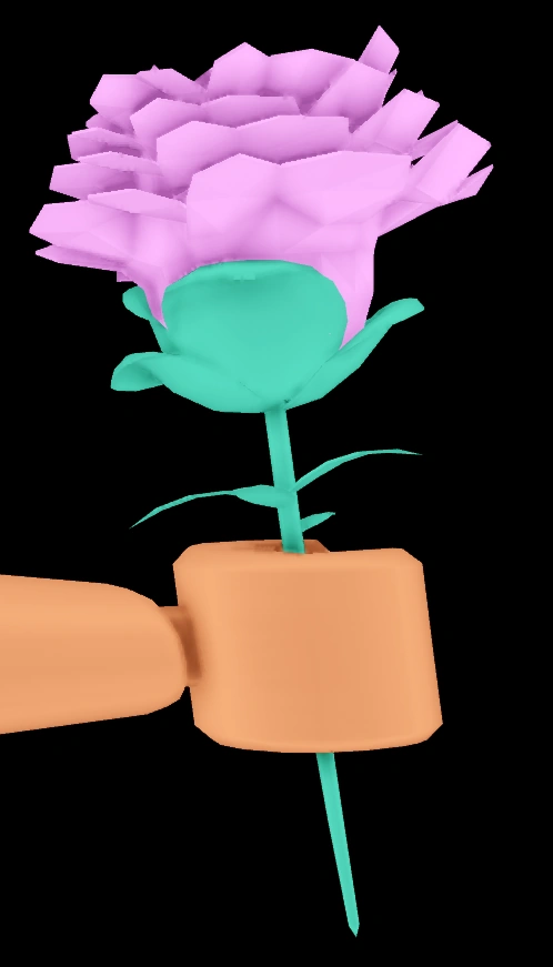 Beautiful Rose in Hand